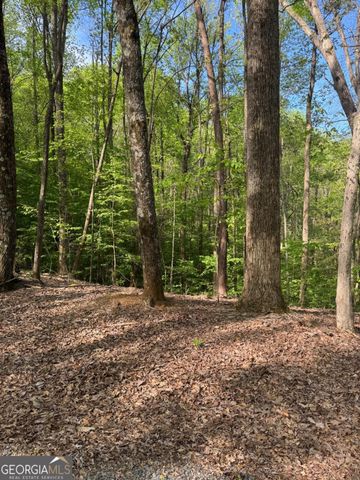 0 Mountain View Court, Ellijay, GA 30536