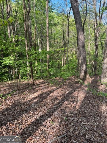 0 Mountain View Court, Ellijay, GA 30536