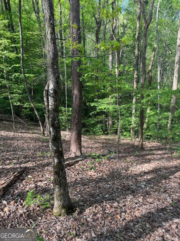 0 Mountain View Court, Ellijay, GA 30536
