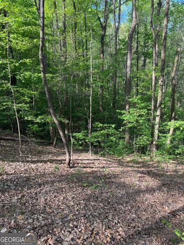 0 Mountain View Court, Ellijay, GA 30536