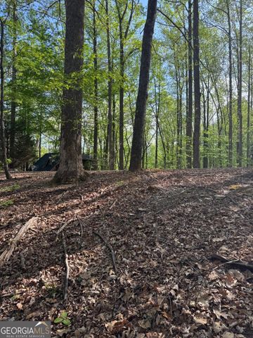 0 Mountain View Court, Ellijay, GA 30536