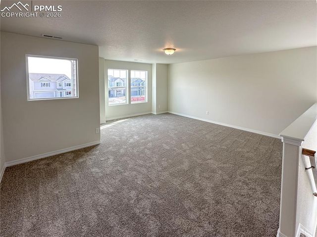 8298 Henzlee Place, Falcon, CO 80831