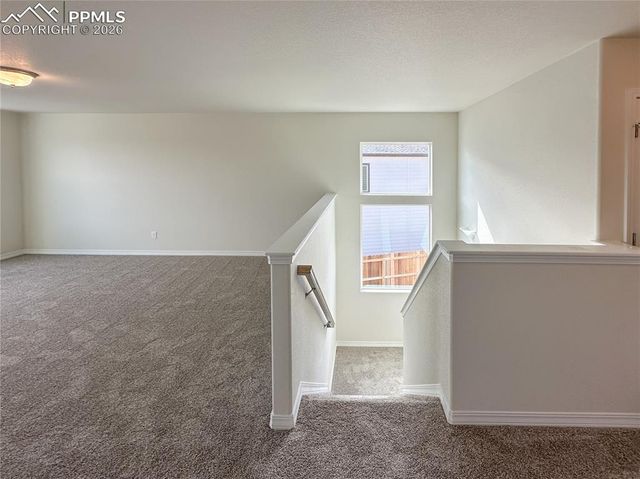 8298 Henzlee Place, Falcon, CO 80831