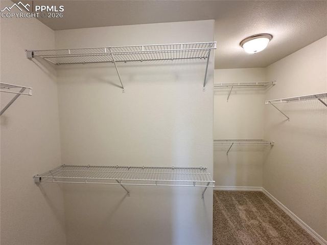 8298 Henzlee Place, Falcon, CO 80831