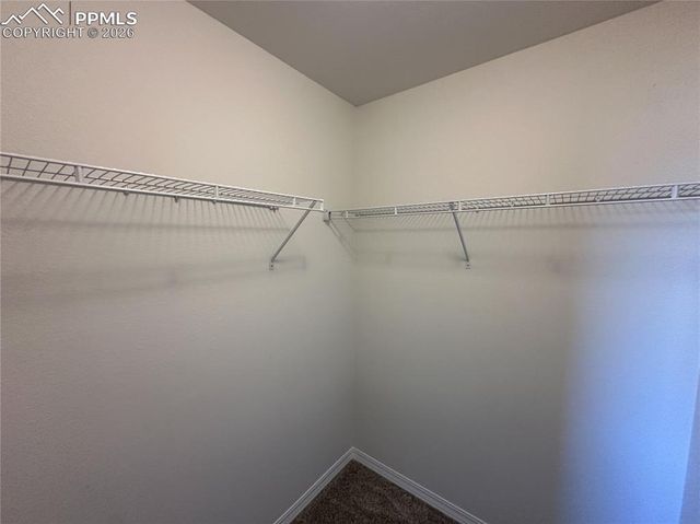 8298 Henzlee Place, Falcon, CO 80831