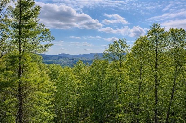 156 Sky High Drive, Ellijay, GA 30536