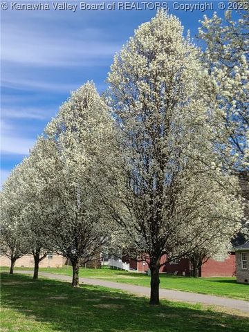 118 Maroney Lane, Belle, WV 25015