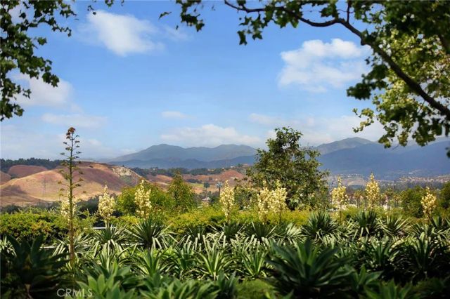 4 Toribeth Street 8, Ladera Ranch, CA 92694