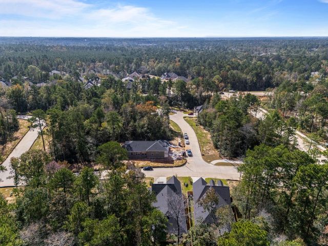 564 Tawny Rim Drive, Willis, TX 77318