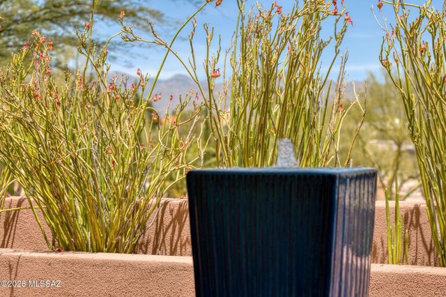 3575 N Pantano Road, Tucson, AZ 85750