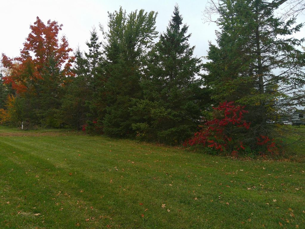 51170 Rush Lake Trail, Rush City, MN 55069 — photo 4