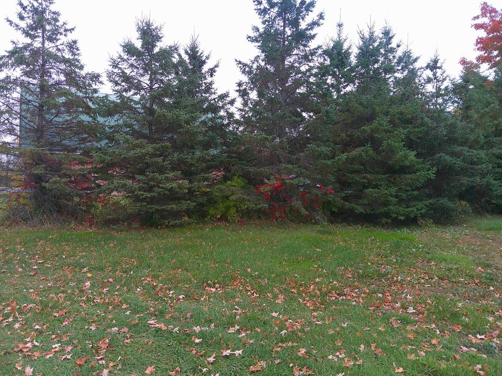 51170 Rush Lake Trail, Rush City, MN 55069 — photo 5