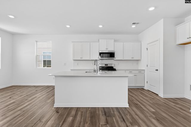 733 Ben Gunn Run, Gilbert, SC 29054
