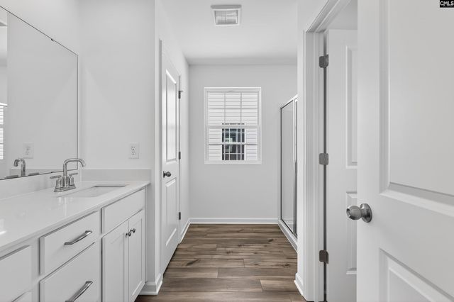 733 Ben Gunn Run, Gilbert, SC 29054