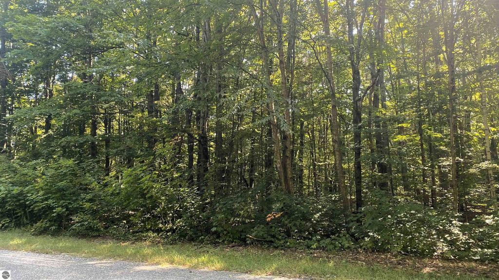 Image 3 of property listing at Lot 466 Northwood Drive, Elmira, MI 49730