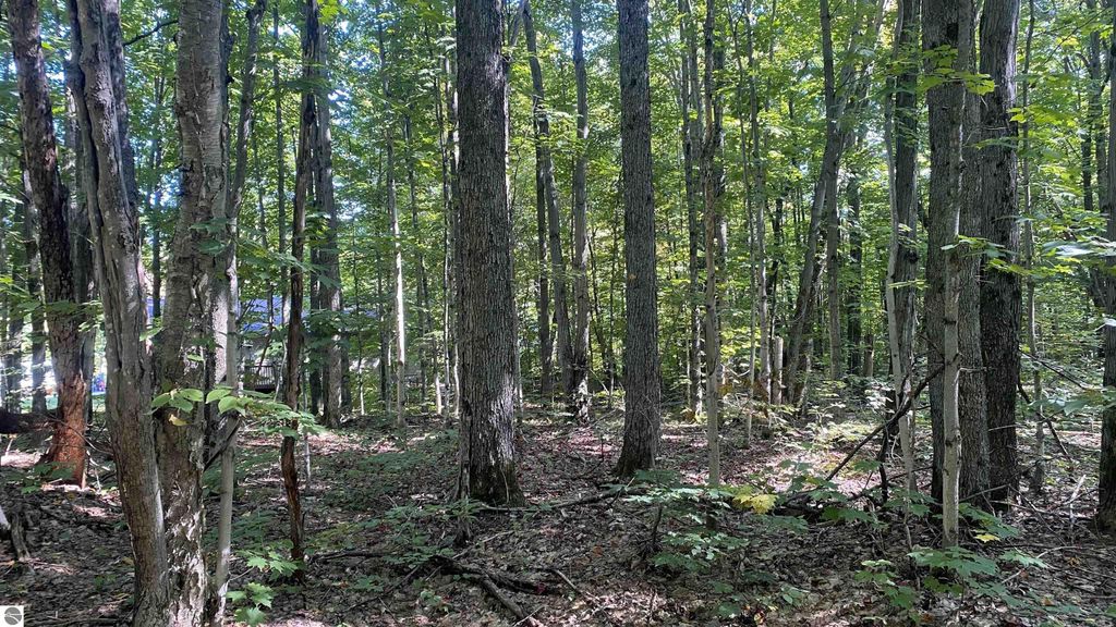 Image 4 of property listing at Lot 466 Northwood Drive, Elmira, MI 49730