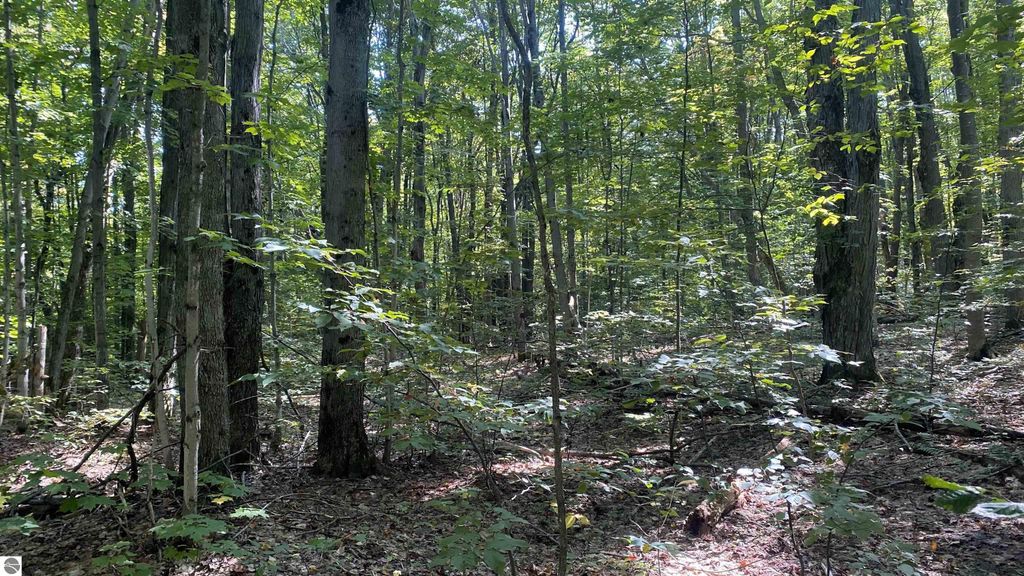 Image 5 of property listing at Lot 466 Northwood Drive, Elmira, MI 49730