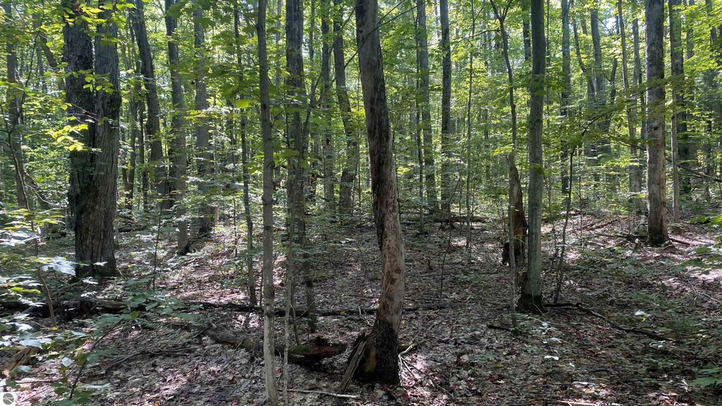 Image 6 of property listing at Lot 466 Northwood Drive, Elmira, MI 49730