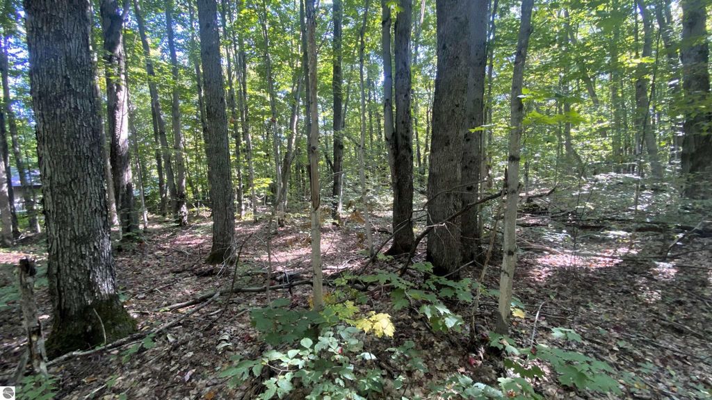 Image 7 of property listing at Lot 466 Northwood Drive, Elmira, MI 49730