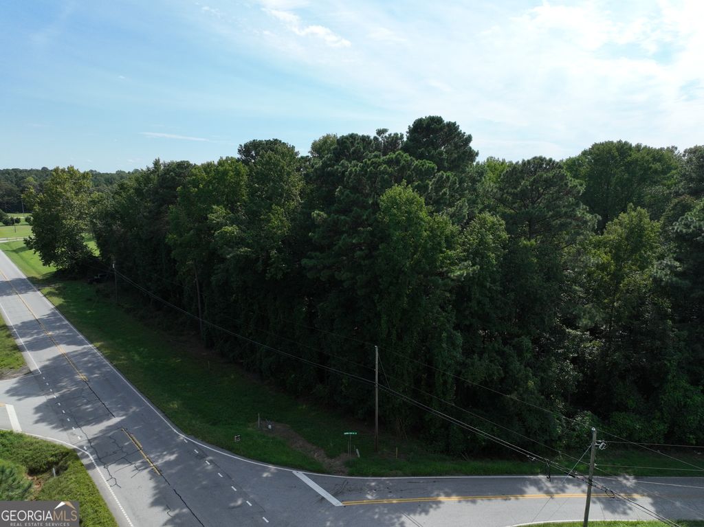 0 Highway 17, Royston, GA 30662 — photo 4