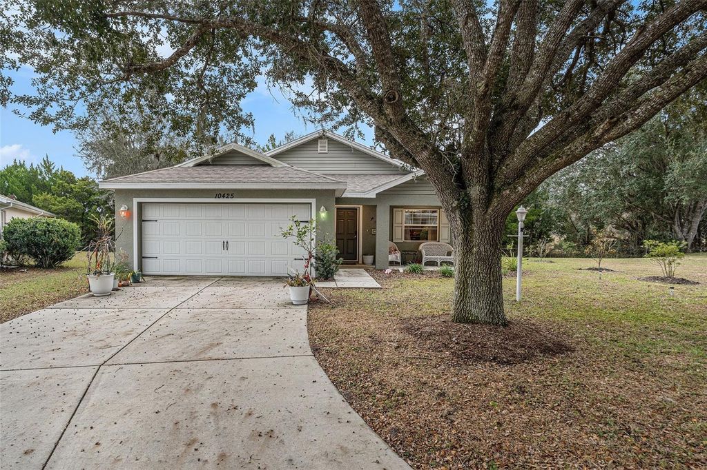 10425 S DREW BRYANT CIRCLE, Floral City, FL 34436