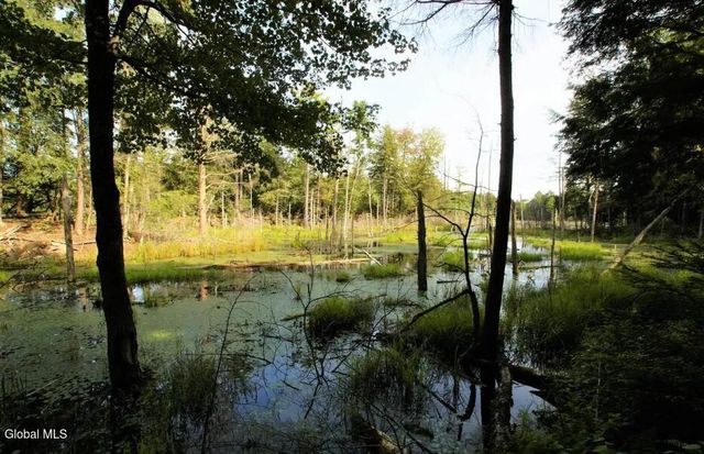 1276 Holcombville Road, Whitehall, NY 12887