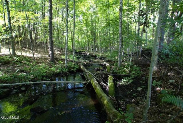 1276 Holcombville Road, Whitehall, NY 12887