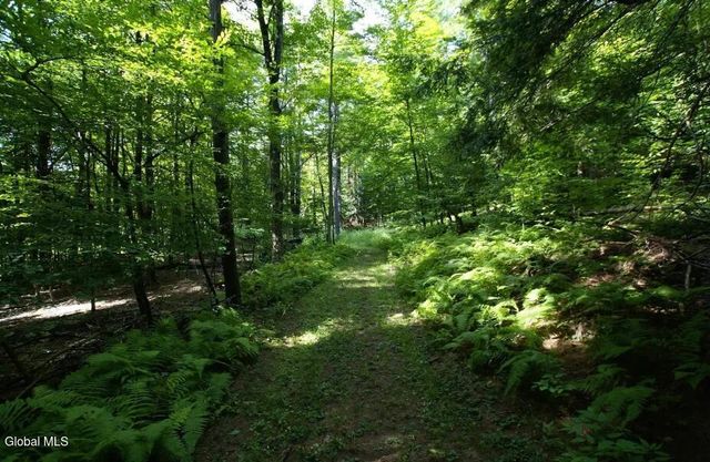 1276 Holcombville Road, Whitehall, NY 12887