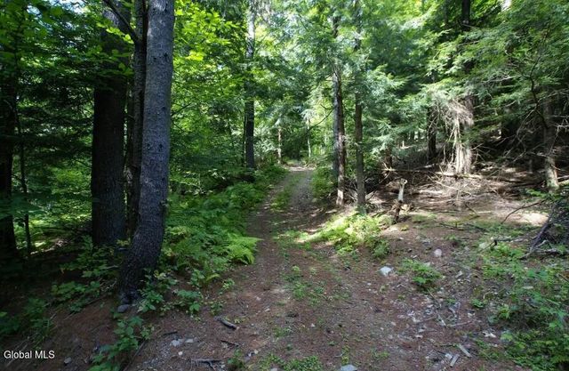 1276 Holcombville Road, Whitehall, NY 12887