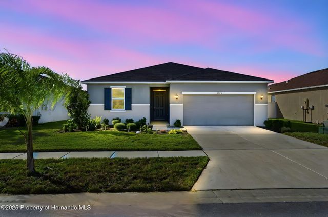 12975 Cap Cana Way, Hudson, FL 34669