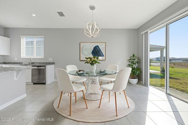 12975 Cap Cana Way, Hudson, FL 34669