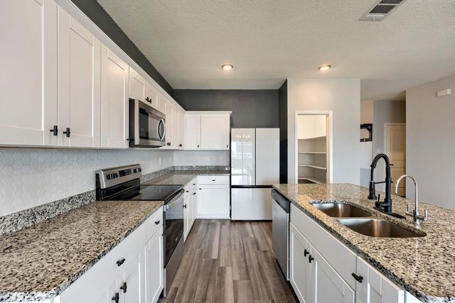 14505 Shooter Mc Gavin DR, Manor, TX 78653