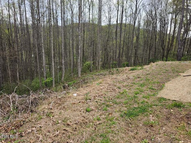 12702 Crab Orchard Road, Coeburn, VA 24230