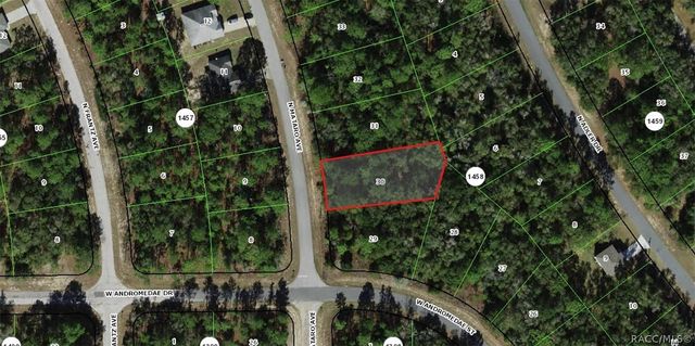 11031 N Mataro Avenue, Citrus Springs, FL 34434
