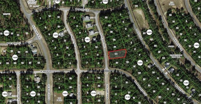 11031 N Mataro Avenue, Citrus Springs, FL 34434