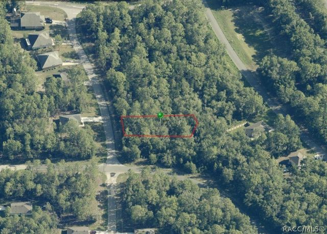 11031 N Mataro Avenue, Citrus Springs, FL 34434
