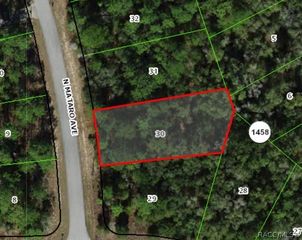 11031 N Mataro Avenue, Citrus Springs, FL 34434