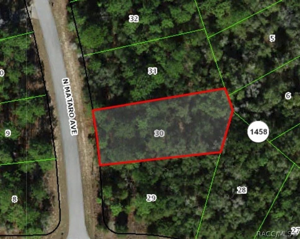 11031 N Mataro Avenue, Citrus Springs, FL 34434