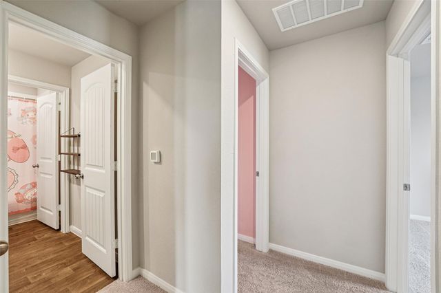 356 Spider Lily DR, Kyle, TX 78640