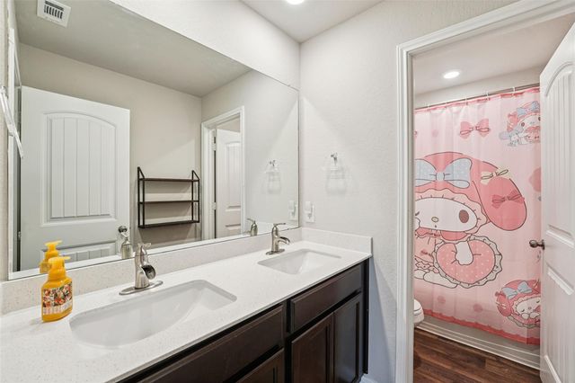 356 Spider Lily DR, Kyle, TX 78640