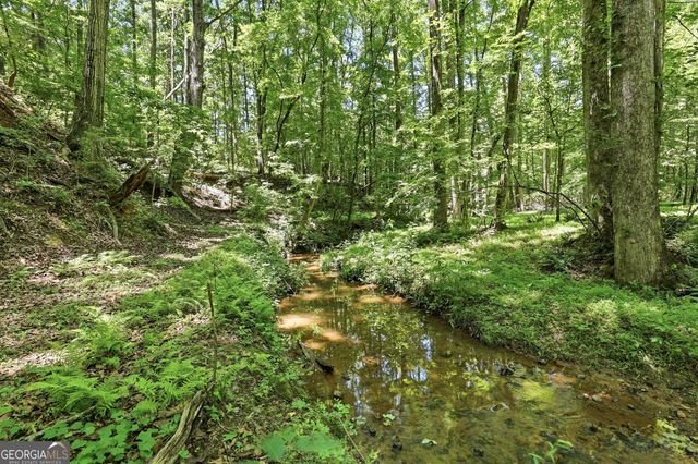 8721 Skitts Mountain Road, Clermont, GA 30527