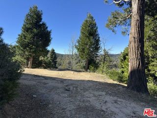 101 Mill Pond Road, Lake Arrowhead, CA 92352
