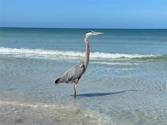 10730 43RD STREET N 504, Clearwater, FL 33762