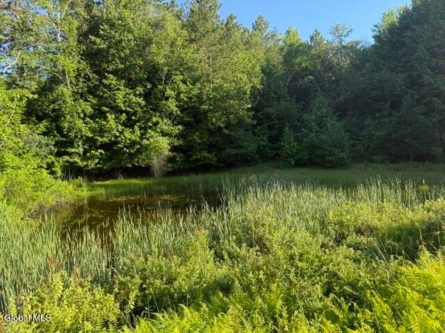 28 Starcrest Drive, Sand Lake, NY 12153