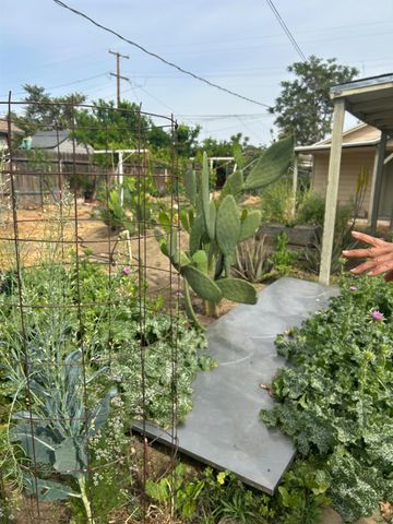 313 E Sacramento Street, Coalinga, CA 93210