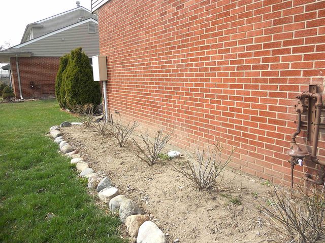 27561 Concord Avenue, Warren, MI 48093