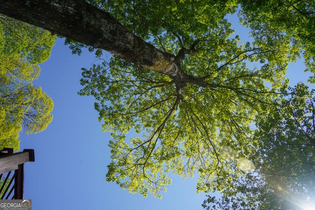 1289 Rainwater Trail, Tiger, GA 30576