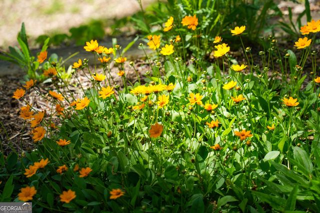 1289 Rainwater Trail, Tiger, GA 30576