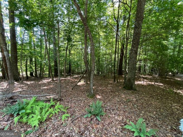 LOT 2 Mount Pleasant Ridge Road 2, Blairsville, GA 30512