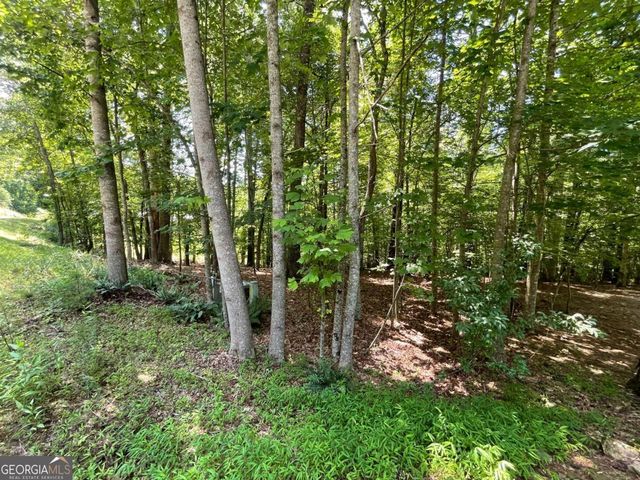 LOT 2 Mount Pleasant Ridge Road 2, Blairsville, GA 30512